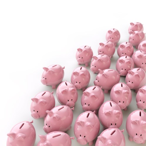 Sparschweine - Gesellschaft